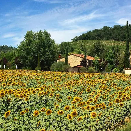 I Girasoli شقة سان جيمينيانو